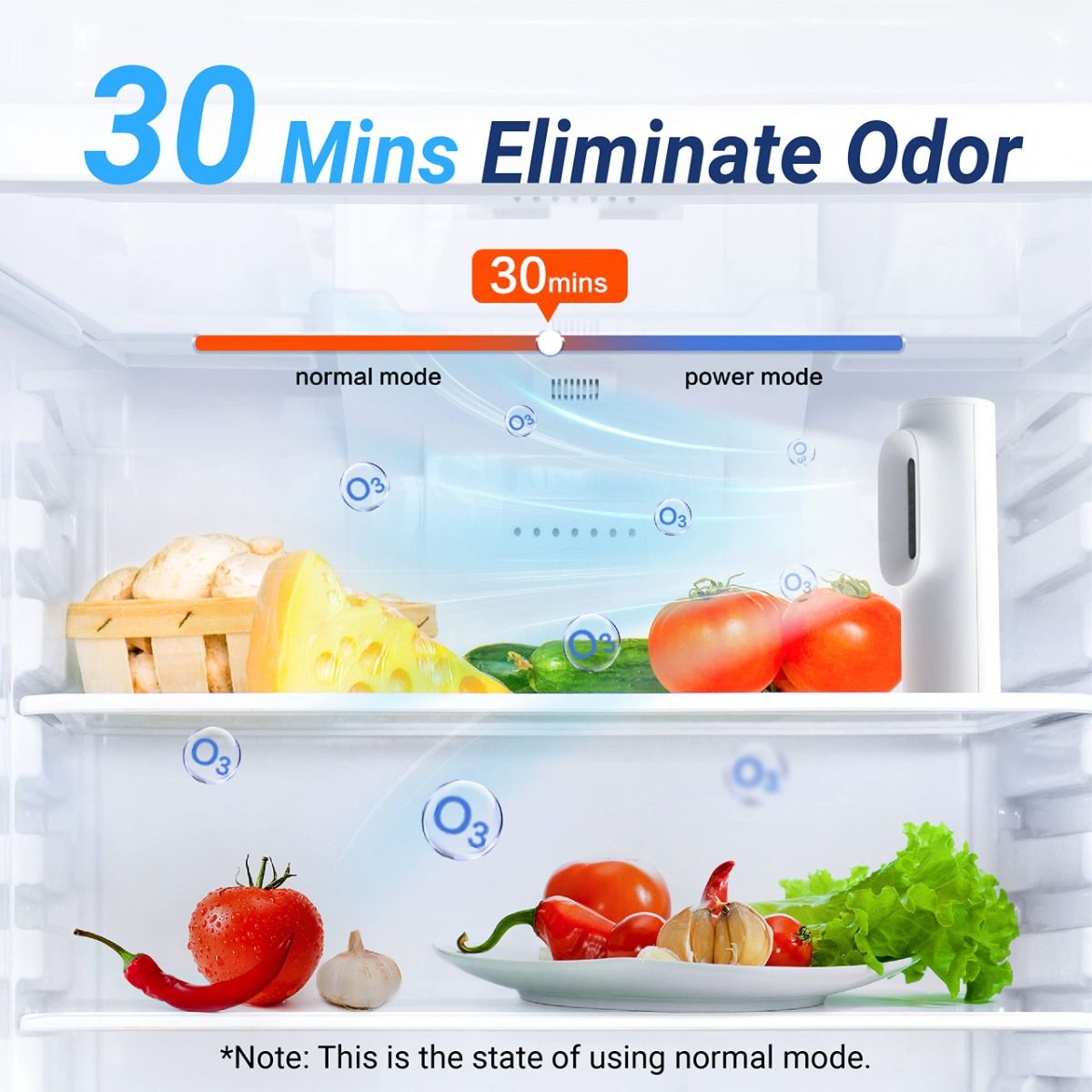 Ozone Odor Eliminator, Refrigerator Deodorizer, Food Shelf Life Extender, Odor Eliminator and Air Freshener for Refrigerator