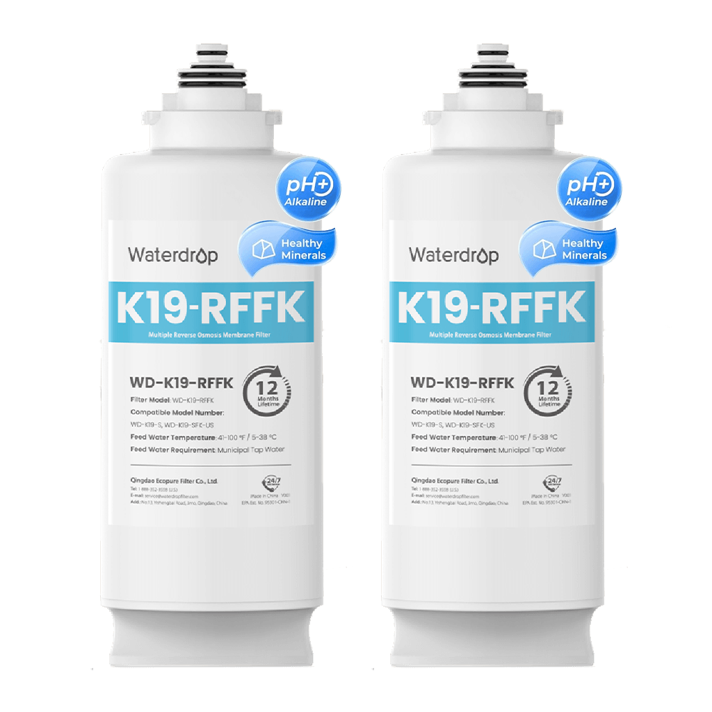 WD-K19RF-FK Filter for K19 Remineralization RO System, 2-YEAR COMBO